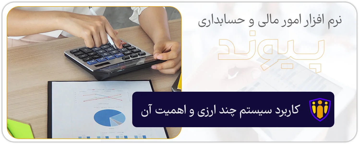 کاربرد سیستم چند ارزی و اهمیت آن