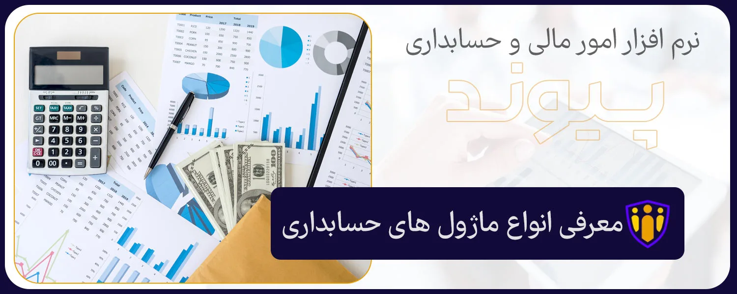 انواع ماژول های حسابداری در نرم افزار حسابداری پیوند