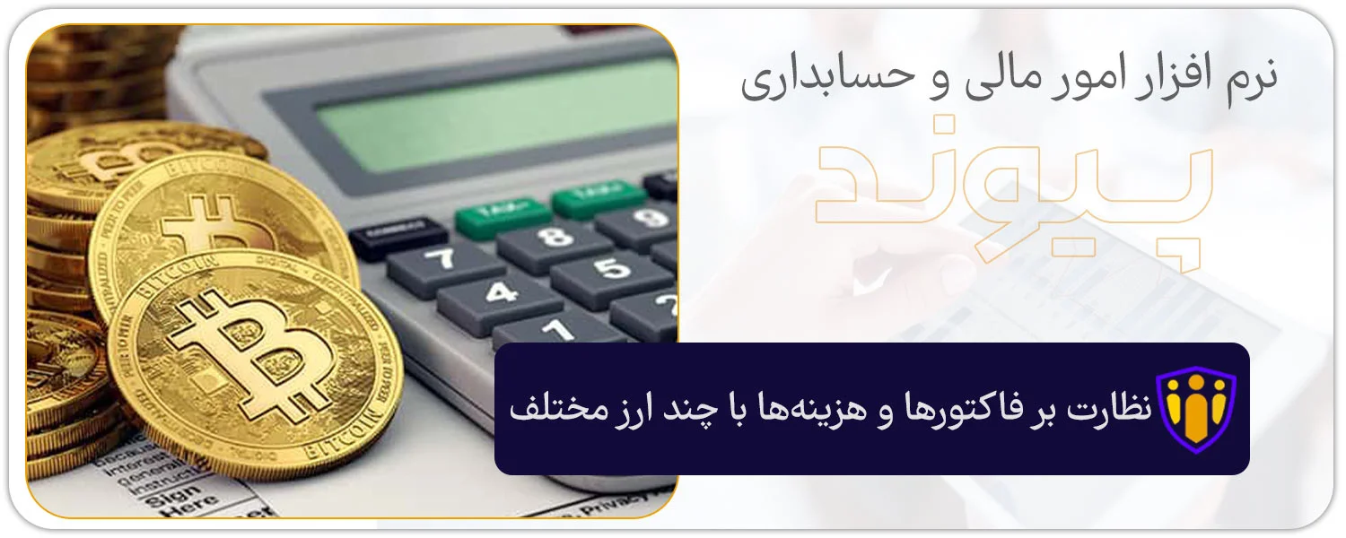 نظارت بر فاکتورها و هزینه‌ها با چند ارز مختلف