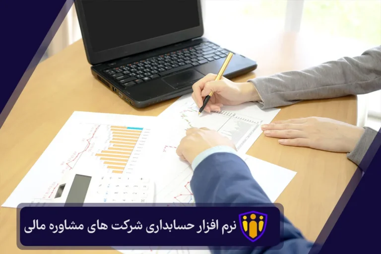 نرم افزار حسابداری شرکت های مشاوره مالی